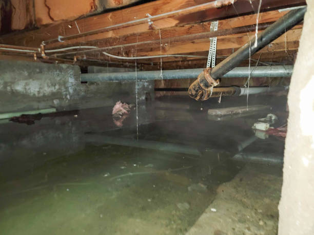 Best 24-hour water damage restoration  in Glen Ellen, CA