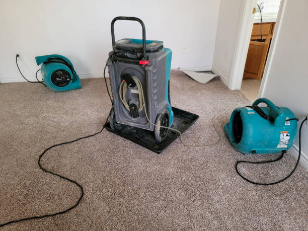Best Residential water damage restoration  in Glen Ellen, CA