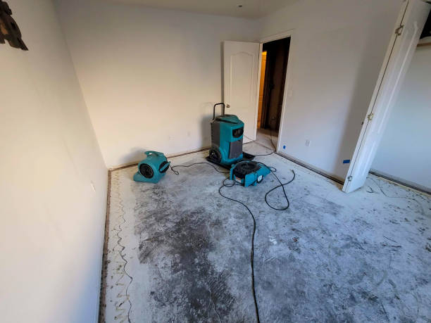 Best Water damage restoration near me  in Glen Ellen, CA