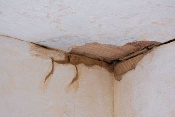 Best Water damage restoration experts  in Glen Ellen, CA