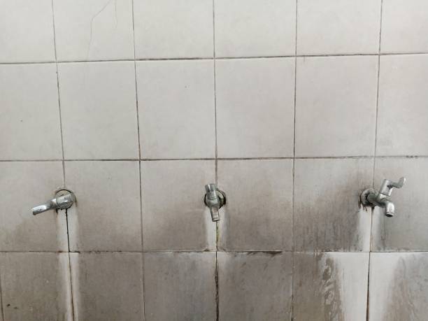 Best Flood damage cleanup  in Glen Ellen, CA