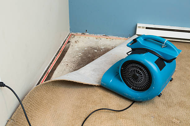 Best Fire Damage Restoration  in Glen Ellen, CA